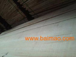 俄罗斯进口无节樟子松与优质桦木宽板 家装建材的理想选择